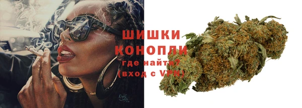ГАЛЛЮЦИНОГЕННЫЕ ГРИБЫ Осташков