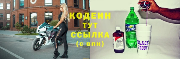 прущие грибы Осинники