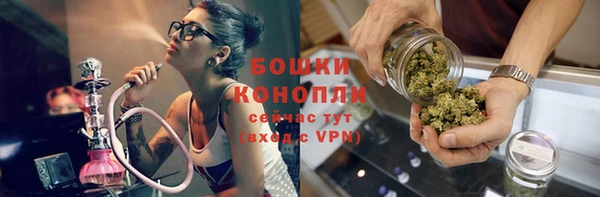 PSILOCYBIN Остров