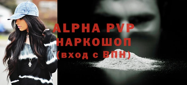 прущие грибы Осинники