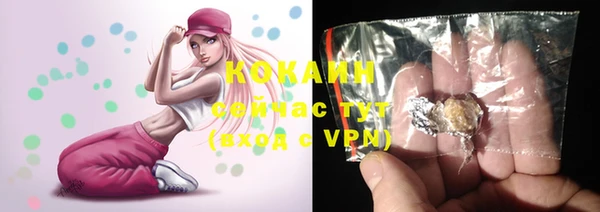 прущие грибы Осинники