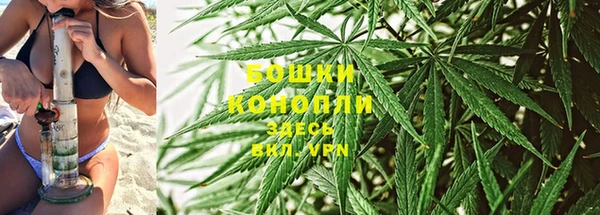 PSILOCYBIN Остров