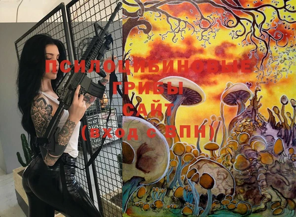 прущие грибы Осинники