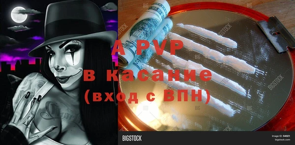 ГАЛЛЮЦИНОГЕННЫЕ ГРИБЫ Осташков