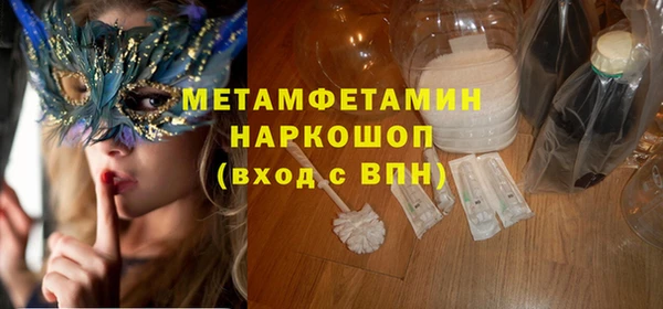 прущие грибы Осинники