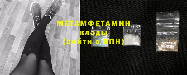 прущие грибы Осинники