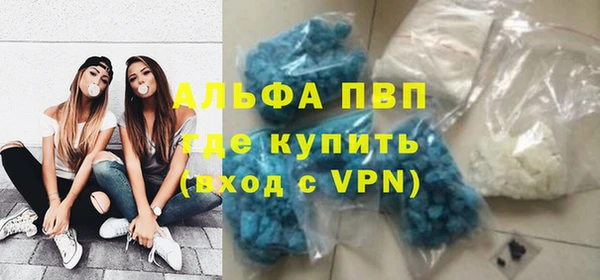 ГАЛЛЮЦИНОГЕННЫЕ ГРИБЫ Осташков