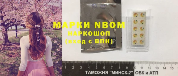 прущие грибы Осинники