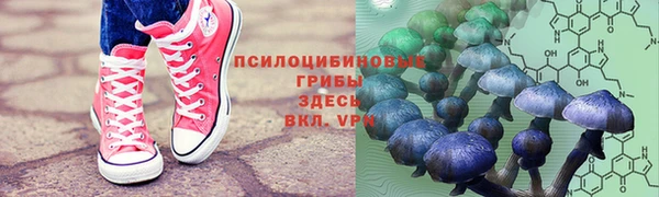 PSILOCYBIN Остров