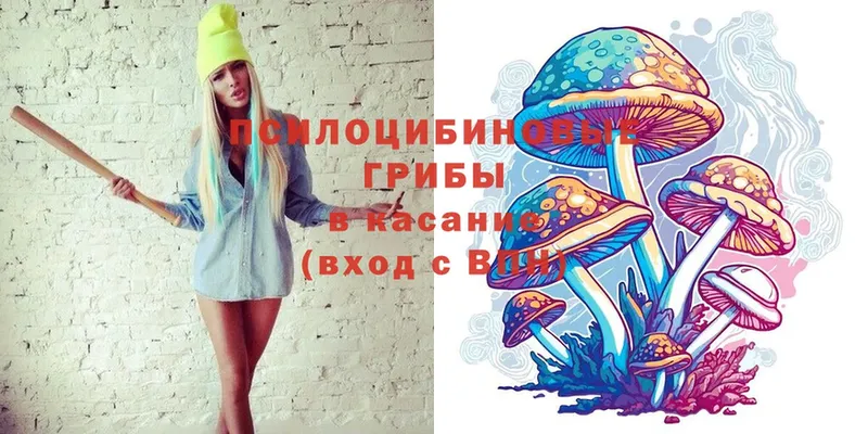 ОМГ ОМГ   Кушва  Галлюциногенные грибы Magic Shrooms 