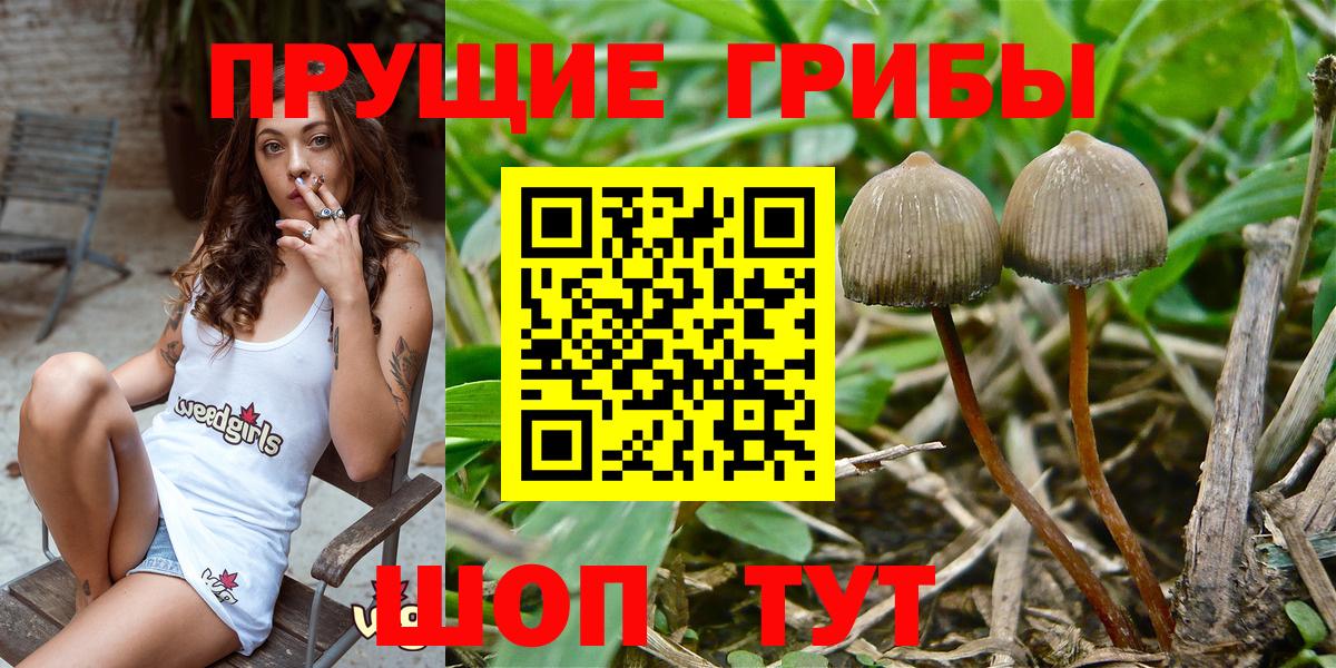 Галлюциногенные грибы Magic Shrooms  Вход с VPN  Кушва 