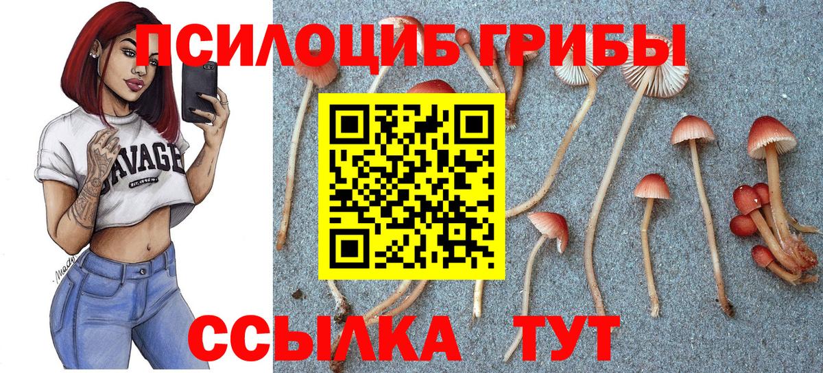 Галлюциногенные грибы Magic Shrooms Кушва